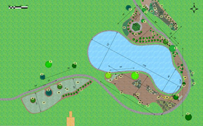 Park Layout with a Plant Inventory